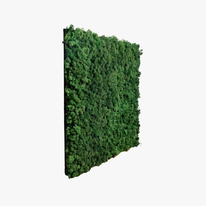 Panel acústico Musgo | Verde bosque