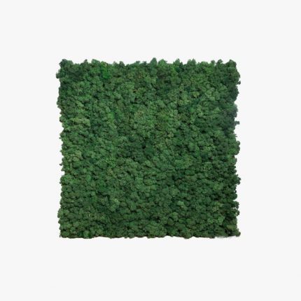 Panel acústico Musgo | Verde bosque